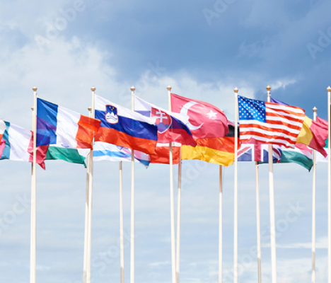 Multilingual assistance